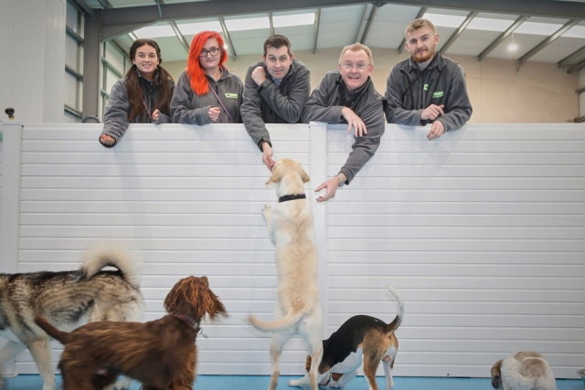 doggy daycare Manchester