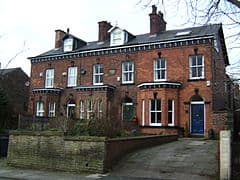 doggy day care trafford